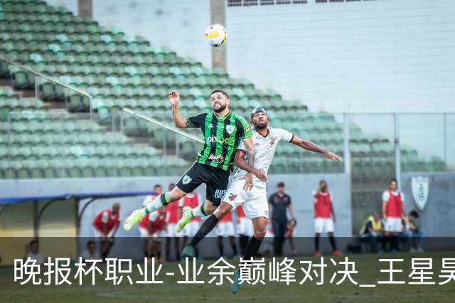 晚报杯职业-业余巅峰对决 王星昊第三盘胜出
